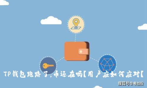 TP钱包跑路了，币还在吗？用户应如何应对？