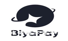 如何将TP钱包中的数字货币